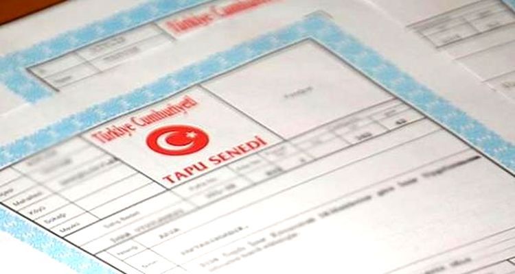 Tapuda online dönem başladı