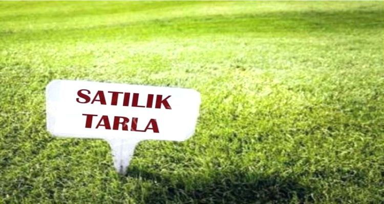 Dövizde yaşanan artış arsa fiyatlarını yükseltti