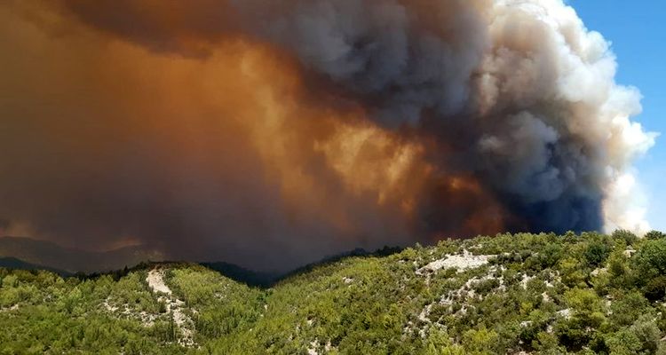 Bakan Kurum: Orman alanları imara açılmayacak