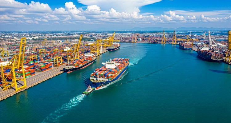 Ekobord Katma Değerli Ürünleriyle Dünya Pazarlarındaki Payını Büyütüyor