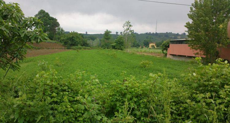 İzmir Torbalı'da Satılık Arsa