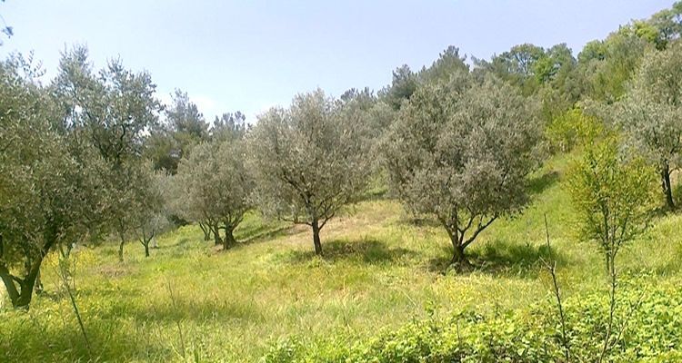 Aydın Valiliğinden Satılık Taşınmaz!