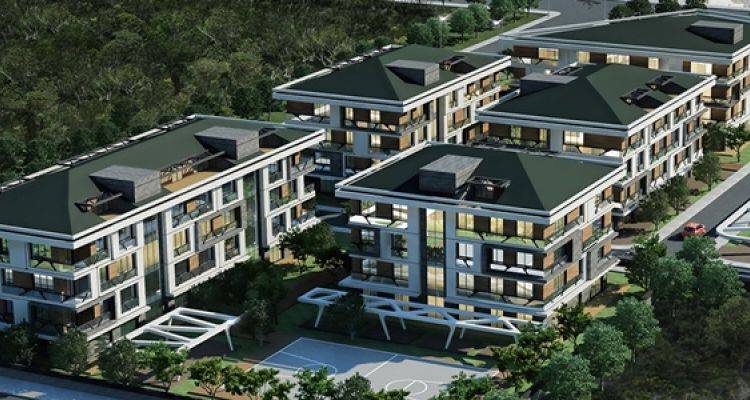 Beyttürk Orman Projesinde 140 Bin TL'ye