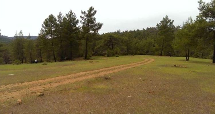 Gümüşhane Valiliğinden Satılık Gayrimenkul!