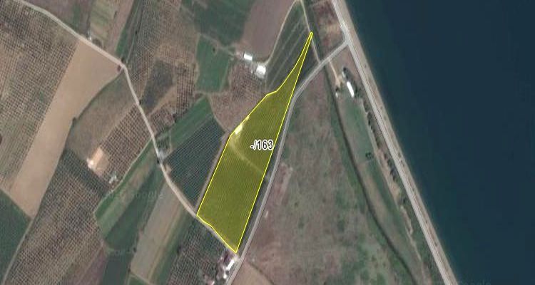 Orhangazi Belediyesi'nden Satılık Tarla