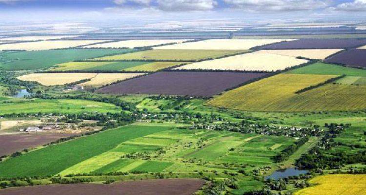 Hazineye Ait Tarım Arazileri Satışa Çıkıyor