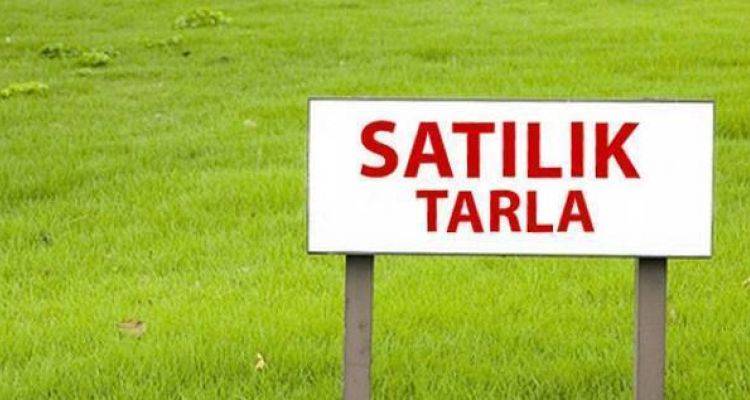 Silivri Belediyesi’nden 3.3 Milyon TL’ye Satılık Tarlalar