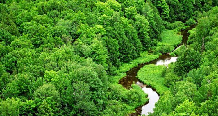 Doğal Sit Alanları İçin Yeni Kararlar