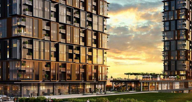 Selenium Retro Projesinde Teslimler Haziran 2017’de