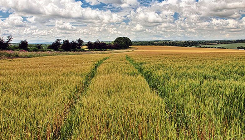 Arazi Yatırımı Yaparken Mağdur Olmayın!