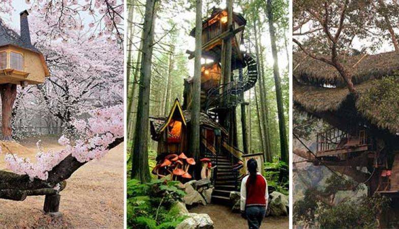 Birbirinden İlginç 40 Ağaç Ev