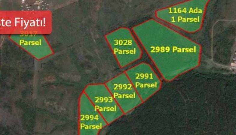 Yapı Kredi Koray Gayrimenkul Riva Arsasını Satışa Çıkarıyor