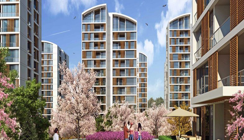 Resim İstanbul Orman Projesinden Yaz Kampanyası