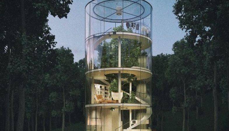 İlginç Tasarımlı Cam Ağaç Ev