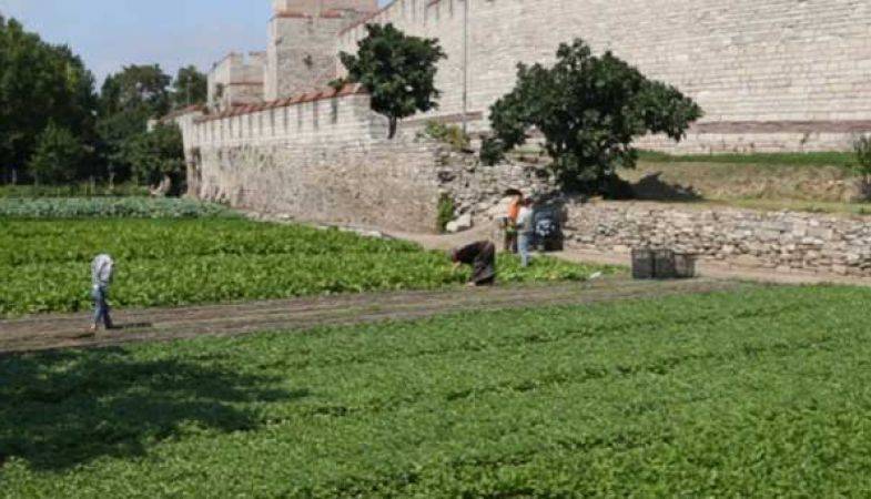 Yedikule’deki Tarihi Bostanlık İmara Açılıyor!