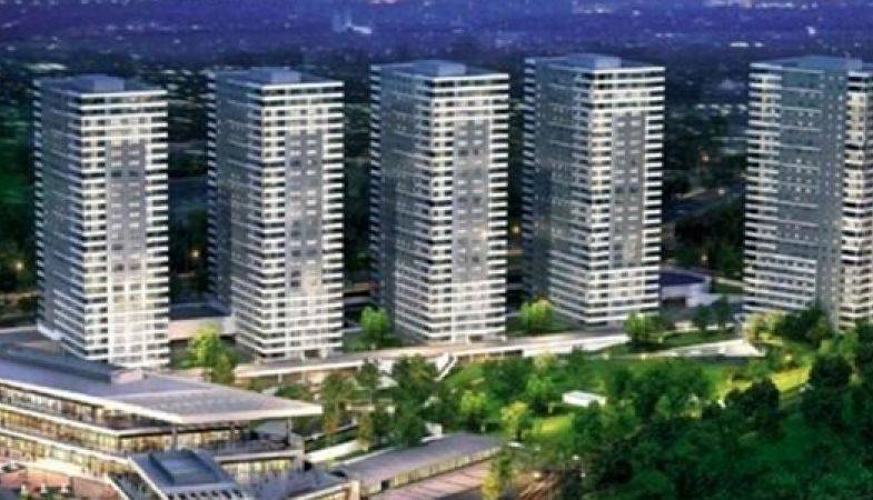 Kaşmir Mavi Orkide Ön Talepte!