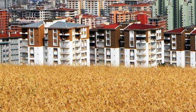 TOKİ Samsun Ulugazi Toplu Konut Projesi
