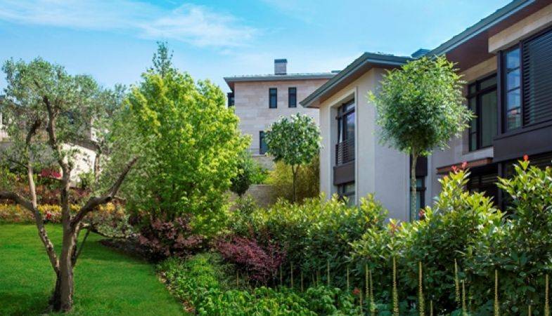 Ormanada Projesinde Yüzde 0,89 Faizle