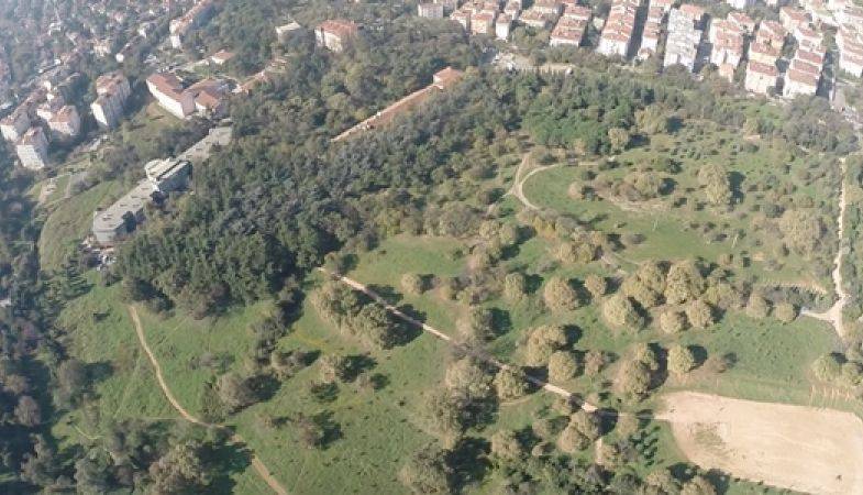 Validebağ Korusu'nda Yapılaşmaya İBB'den Onay