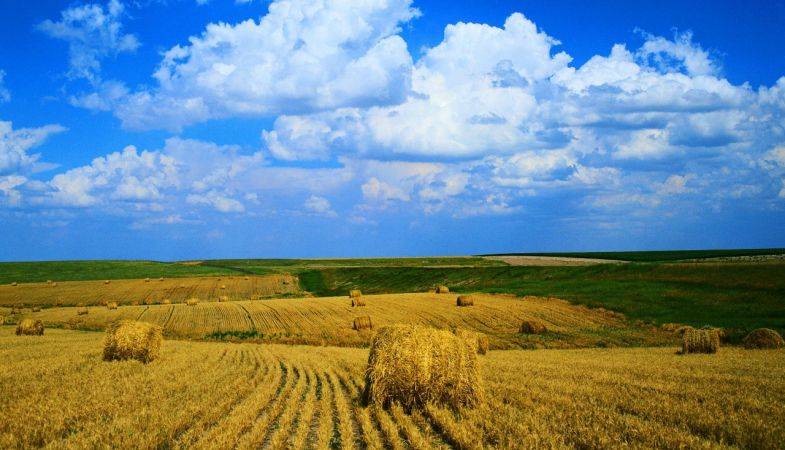 Miras Tarlası Olanlar Dikkat! O Süre Uzatıldı!