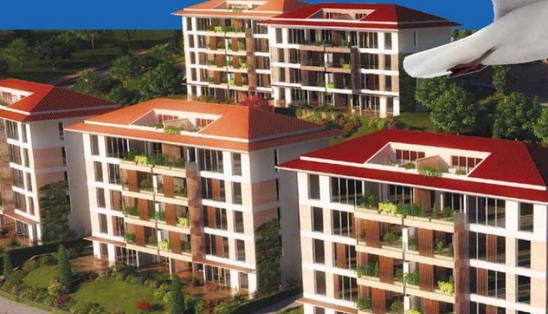 Fuaye Deniz Projesi Yüzde 40 Kazandırdı