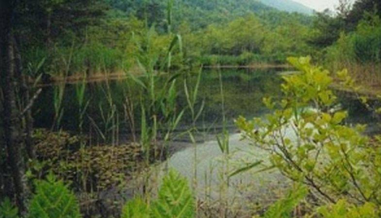 Çatalca Hisarbeyli Petrol Ofisi’ne İzin Çıktı