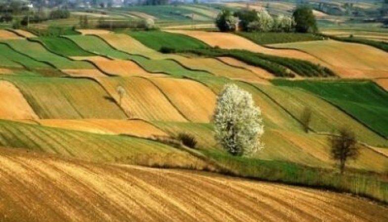 Hükümetten 2B ve Tarım Arazisi Olana İkinci Şans