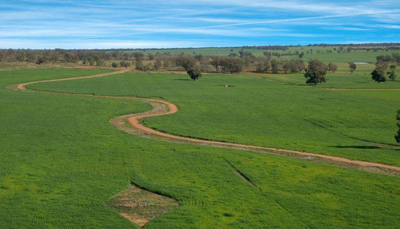Torbalı Belediyesi’nden 4.5 Milyona Satılık Arsa