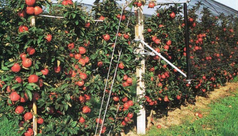 Türkiye Petrolleri Anonim Ortaklığı Hatay'da Arsalarını Kiraya Veriyor