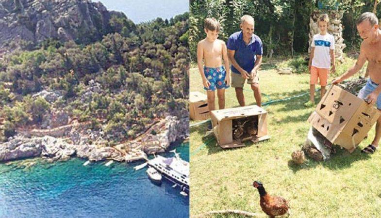 Ali Ağaoğlu Çiftlik Kurdu