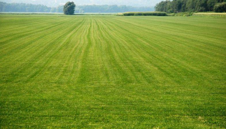 Ankara Büyükşehir Belediyesi’nden 10 Milyon 593 Bin 800 TL’ye Satılık Arsa