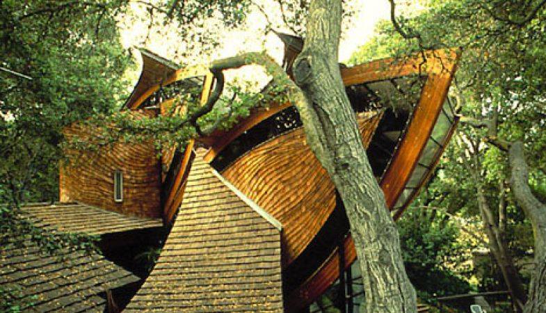 Tasarımı ve Mimarisiyle Şaşırtan Evler