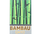 Bambau GMYO