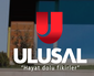 Ulusal Grup