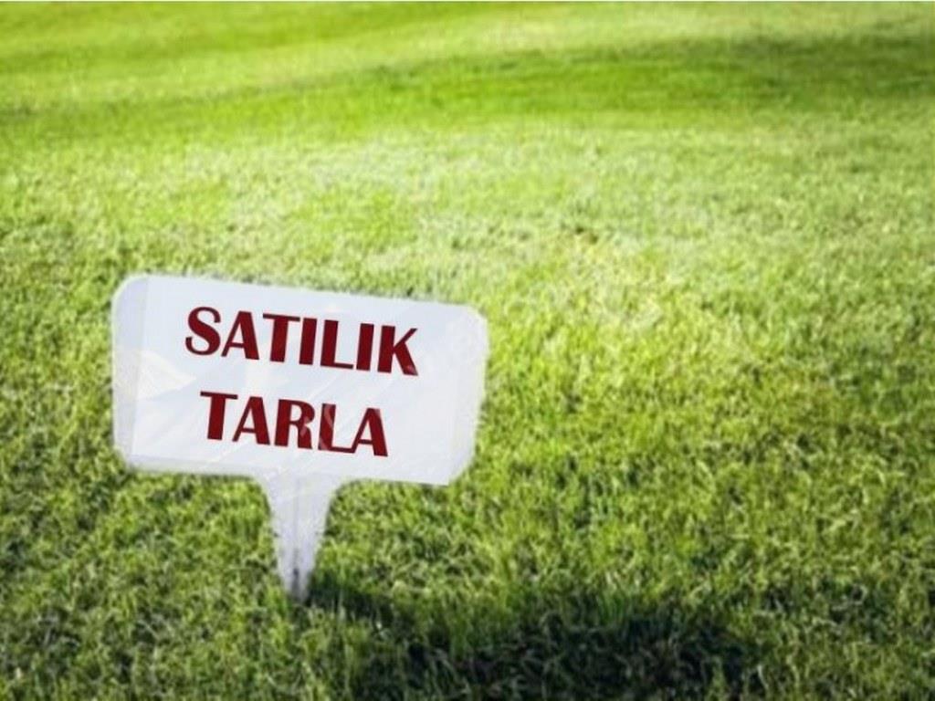 Dövizde yaşanan artış arsa fiyatlarını yükseltti