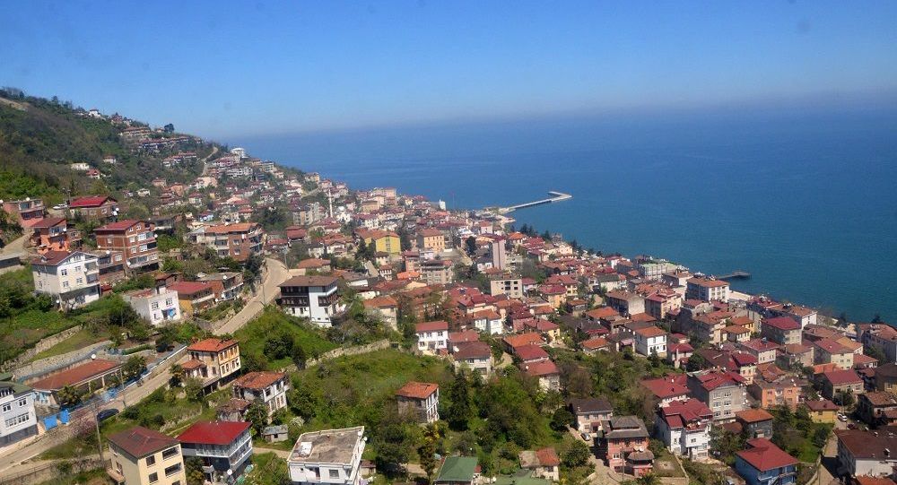 Ordu'da Arap yatırımcıların faaliyetleri 2019'da arttı