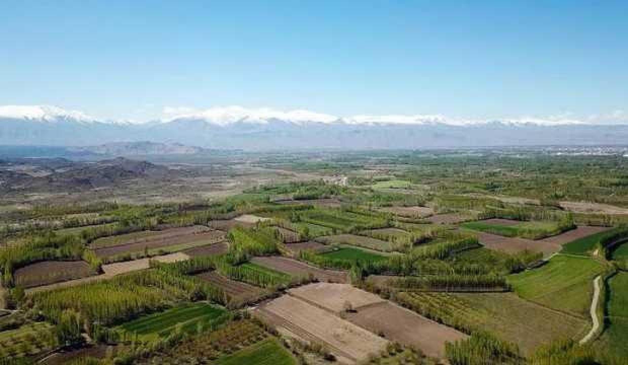 Ankara'nın 4 ilçesinde 9 adet arsa satışa sunuldu
