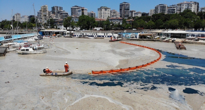 Marmara Denizi 'Koruma Alanı' ilan edilecek