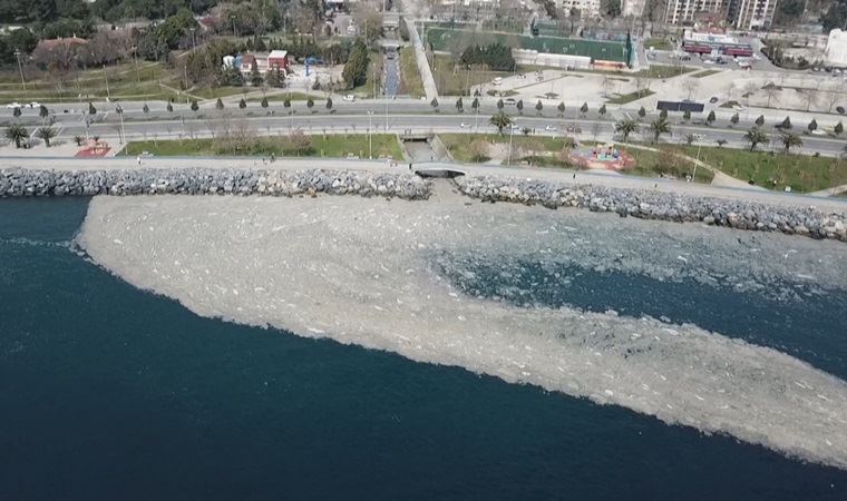 Müsilaj felaketi emlak sektörünü de etkiledi