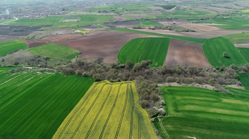 Trakya ve İstanbul'da arsa satışı 122 bini geçti!