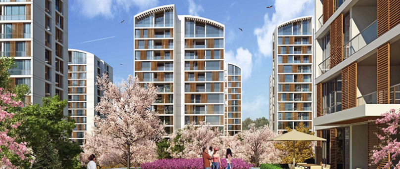 Resim İstanbul Orman Projesinden Yaz Kampanyası