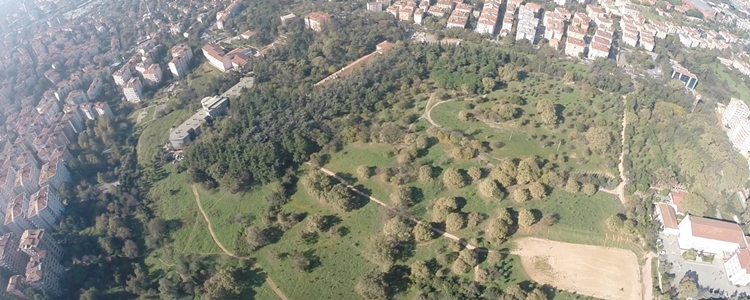 Validebağ Korusu'nda Yapılaşmaya İBB'den Onay