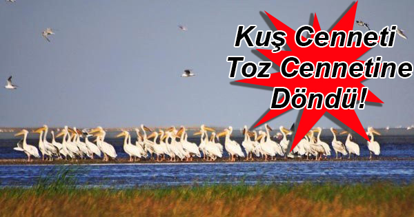 Türkiye’nin Bu Gölü Çöl Oldu!