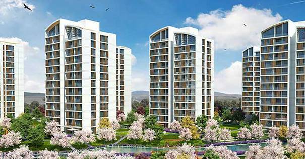 Resim İstanbul Orman’da 2 Bin 800 TL Peşinatla