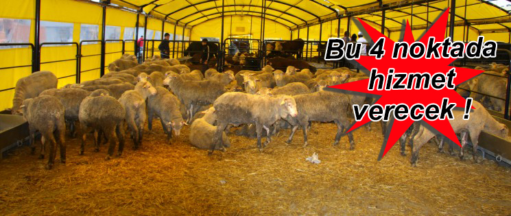 İBB Kurban  Satış ve Kesim Yerleri Belirlendi!