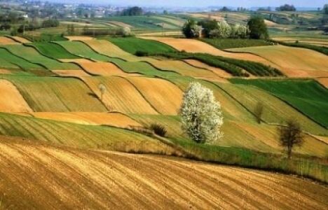 Hükümetten 2B ve Tarım Arazisi Olana İkinci Şans