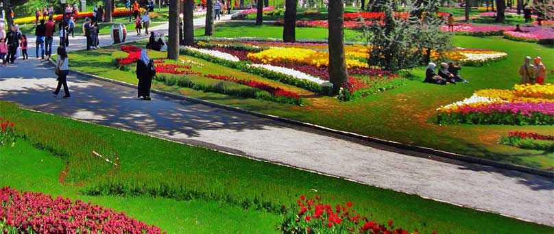Emirgan Korusu İmara Açılacak mı?