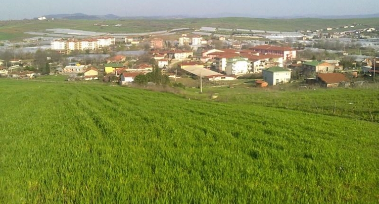 Tuzla Belediyesinden Satılık 1 Adet Arsa!