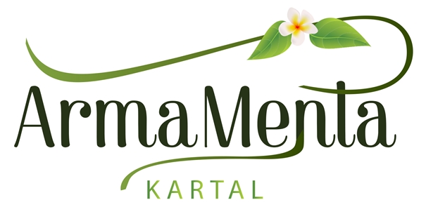 Arma Menta Kartal Projesi Yakında Satışta